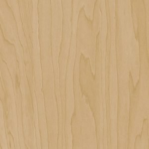 Bodaq W200 Maple Light Wood Interior Film - Standard Wood Collection