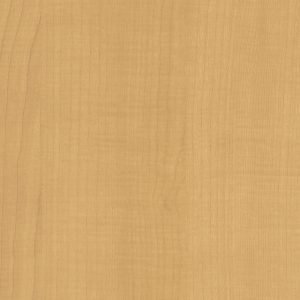 Bodaq W531 Sycamore Interior Film - Standard Wood Collection