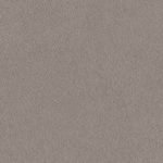 TNS03 Gray Leather Interior Film - Leather Collection