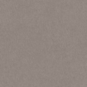 TNS03 Gray Leather Interior Film - Leather Collection