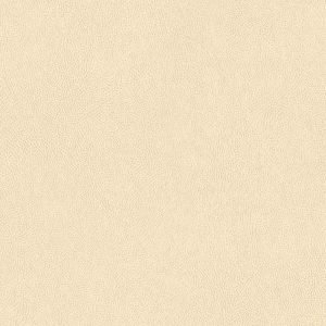 TNS05 Ecru Leather Interior Film - Leather Collection