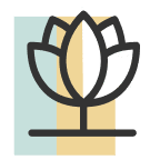 bodaq film properties aesthetic 3