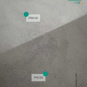 The difference between PNC49 and PNC50