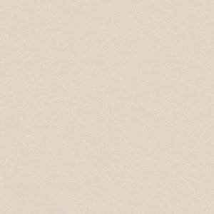 PNC42 Stone Beige Concrete Full view