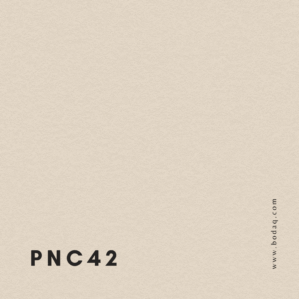 PNC42