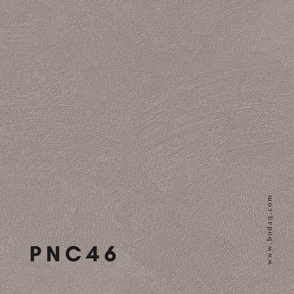 PNC46