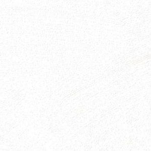 PNC51 White Moonstone Interior Film - Premium Painted Concrete