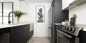 Bodaq Nelcos January 8 e1738360153432